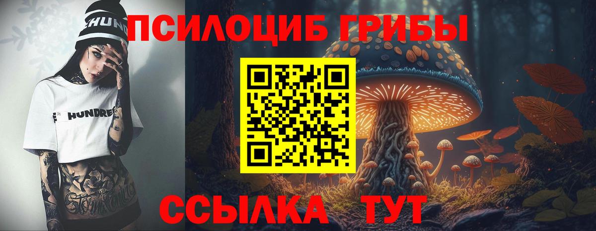Псилоцибиновые грибы Psilocybe Партизанск